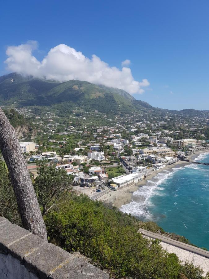 Casa La Torre Forio D'Ischia - Vicoli Saraceni Daire Dış mekan fotoğraf