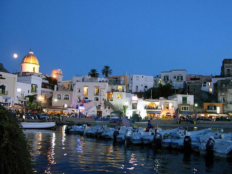 Casa La Torre Forio D'Ischia - Vicoli Saraceni Daire Dış mekan fotoğraf