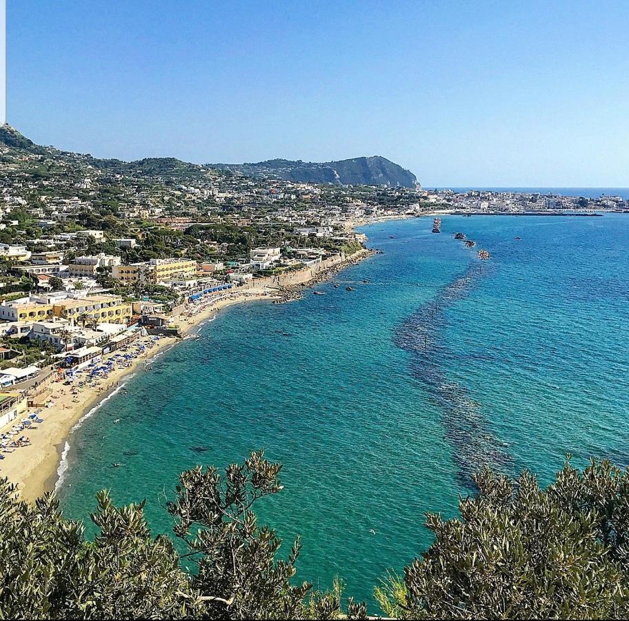 Casa La Torre Forio D'Ischia - Vicoli Saraceni Daire Dış mekan fotoğraf